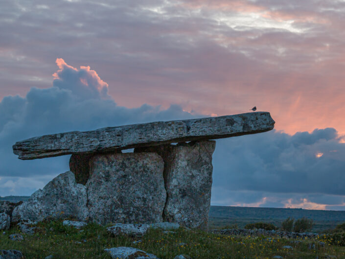 2019 Ireland